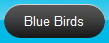 Blue Birds