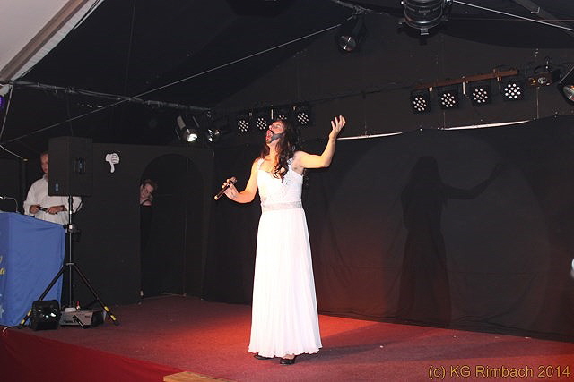 kgrimbach_2014_ah_Show_0174